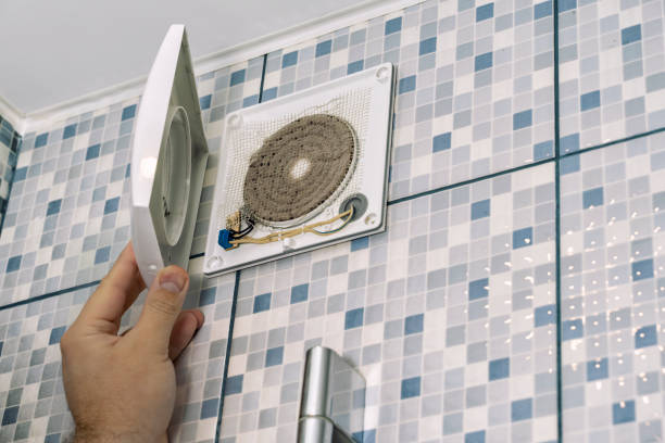 Best Air Duct Sanitizing Services  in Waite Park, MN