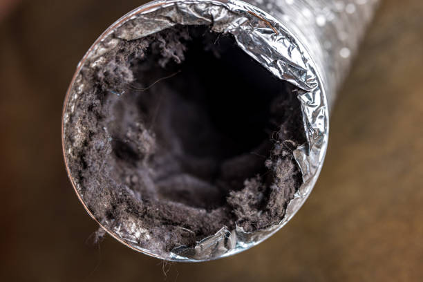 Best Duct Cleaning Specialists  in Waite Park, MN